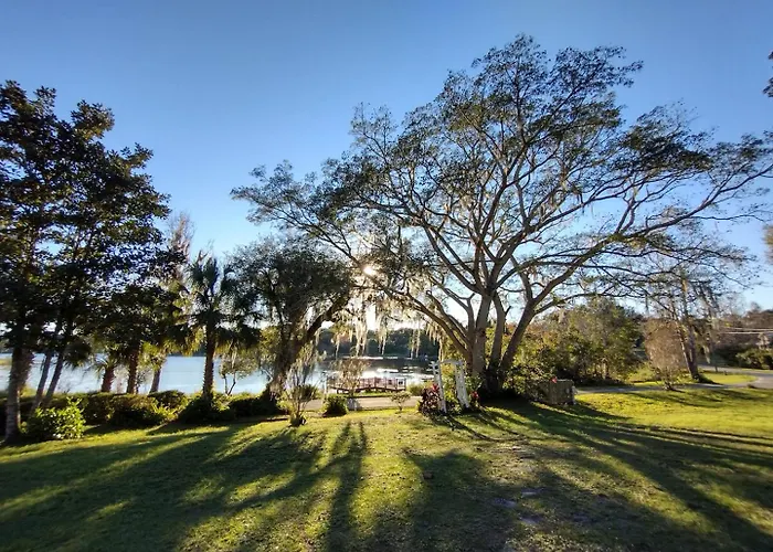 Cabin On The Lake